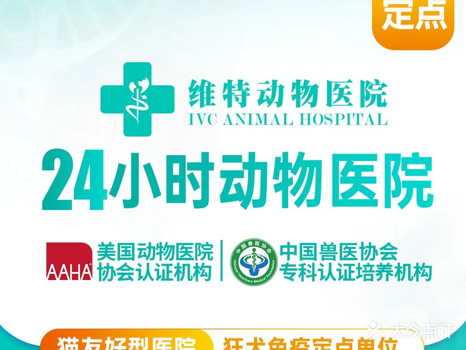 维特动物医院(深圳中心医院)