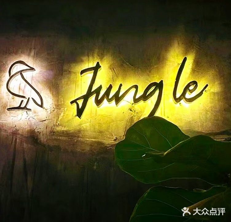 Jungle