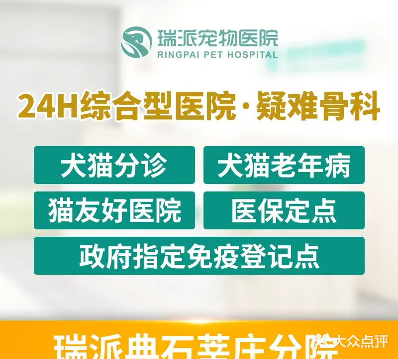 瑞派典石宠物医院·疑难骨科·综合内科(莘庄总院)