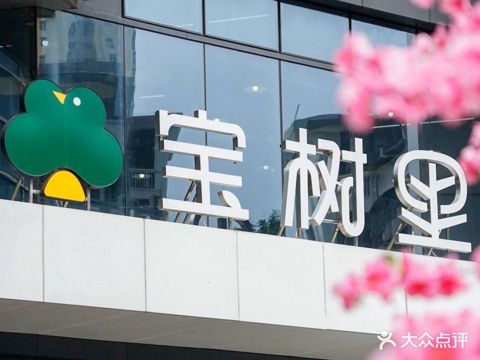宝树里