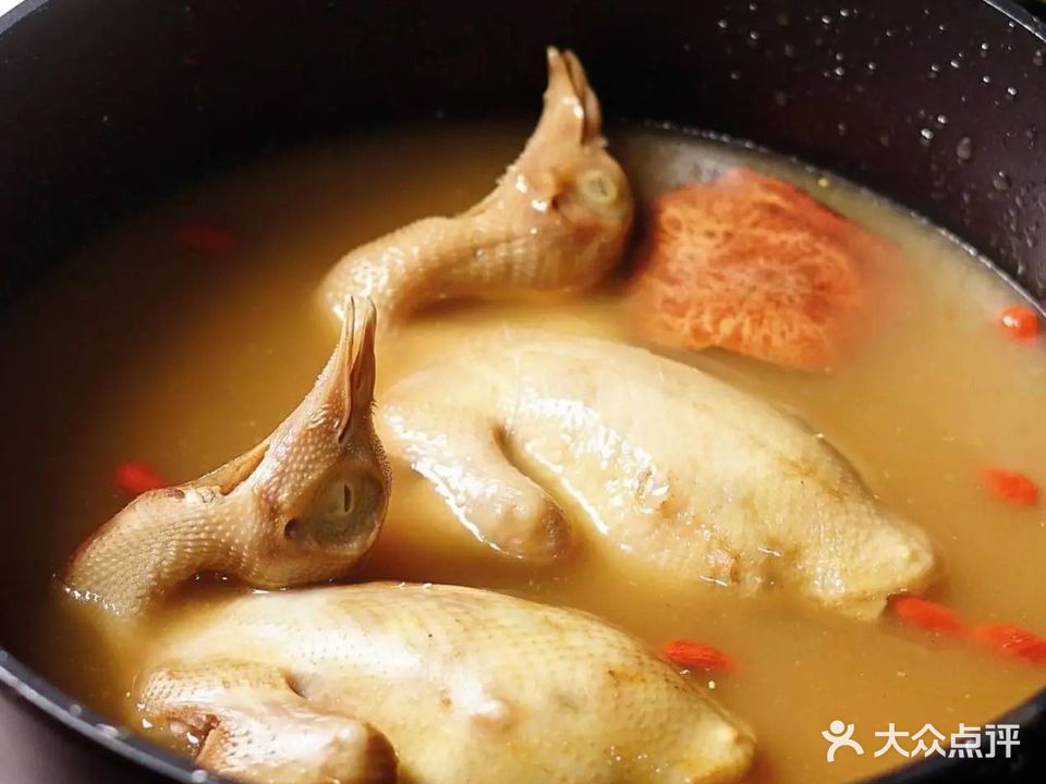 落汤鸽滋补吃鸽专门店(小榄总店)