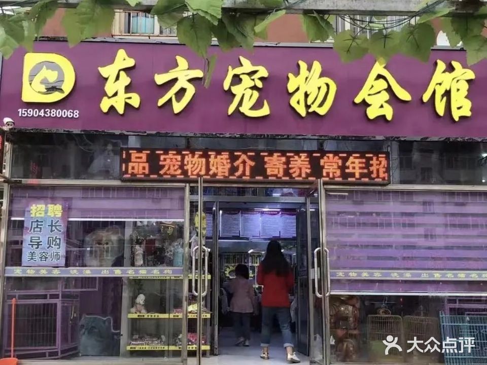 东方宠物会馆(文化街店)
