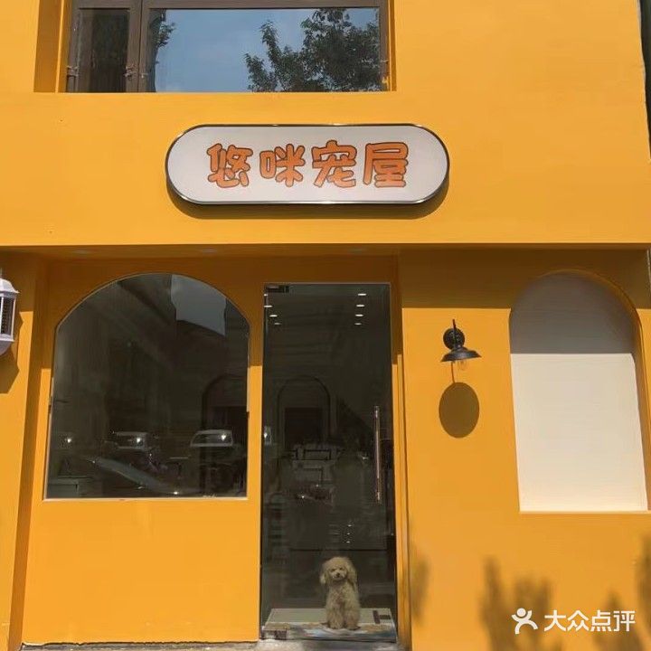 悠咪宠屋Yomi pet(银泰百货海宁店)