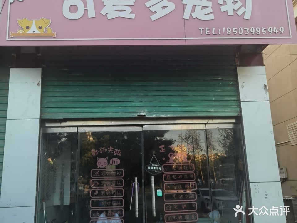 可爱多宠物(西站店)