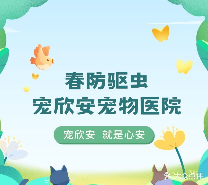 宠欣安宠物医院·眼科医院·特色专科
