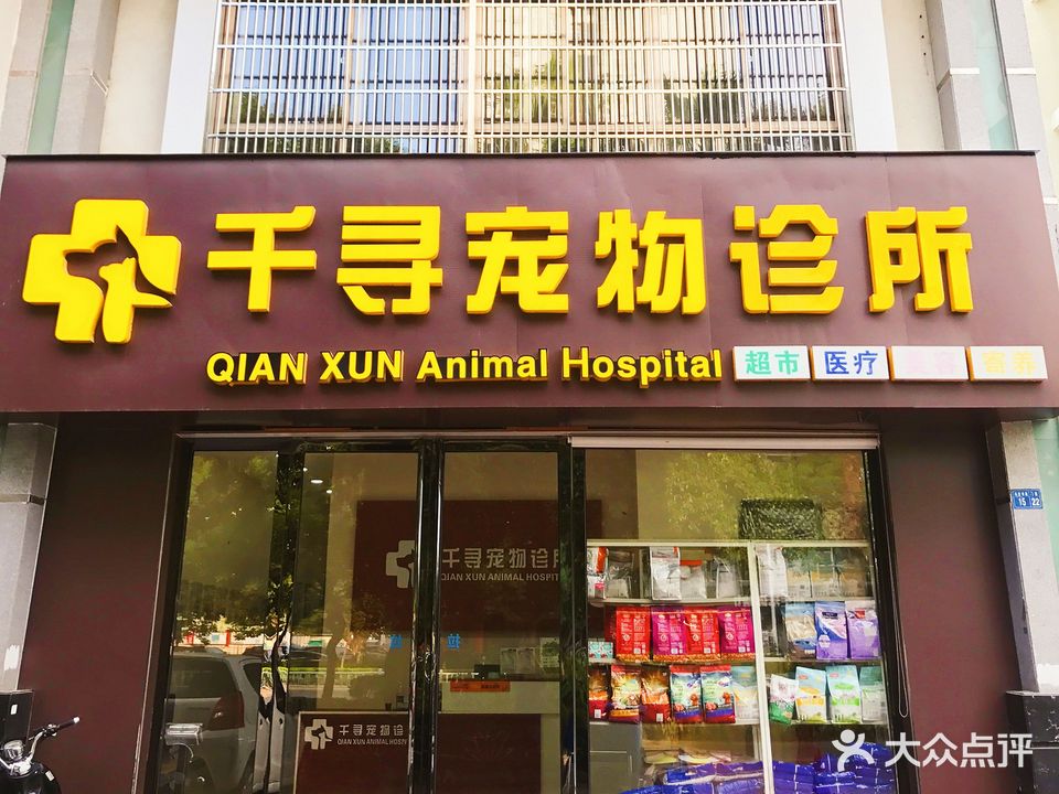 千寻宠物诊所(桂中店)