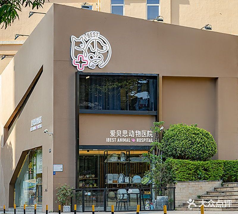 爱贝思动物医院(千灯湖店)