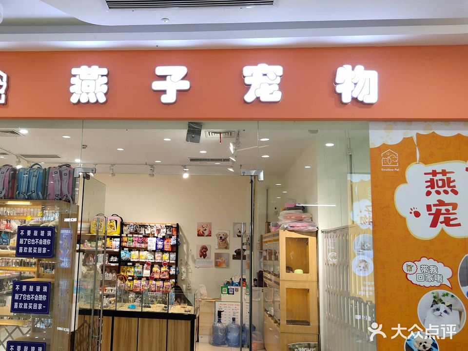 燕子宠物(保丽国际广场店)