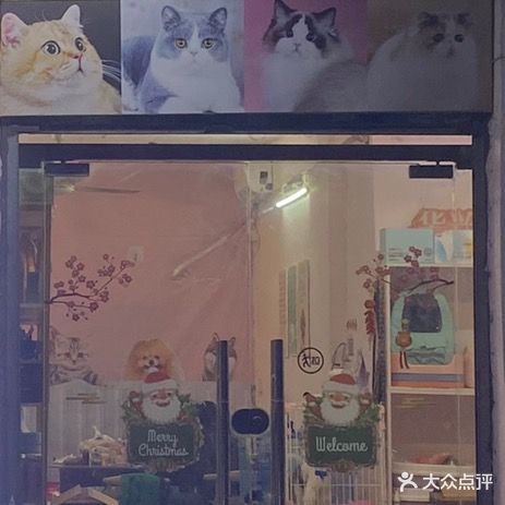 汪星人宠物俱乐部
