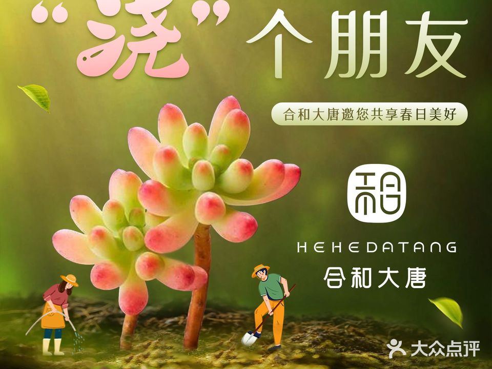 合和大唐·足道·泰式·SPA(和平店)