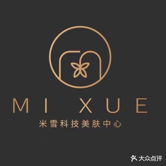 米雪科技美肤中心(东方巴黎水岸店)