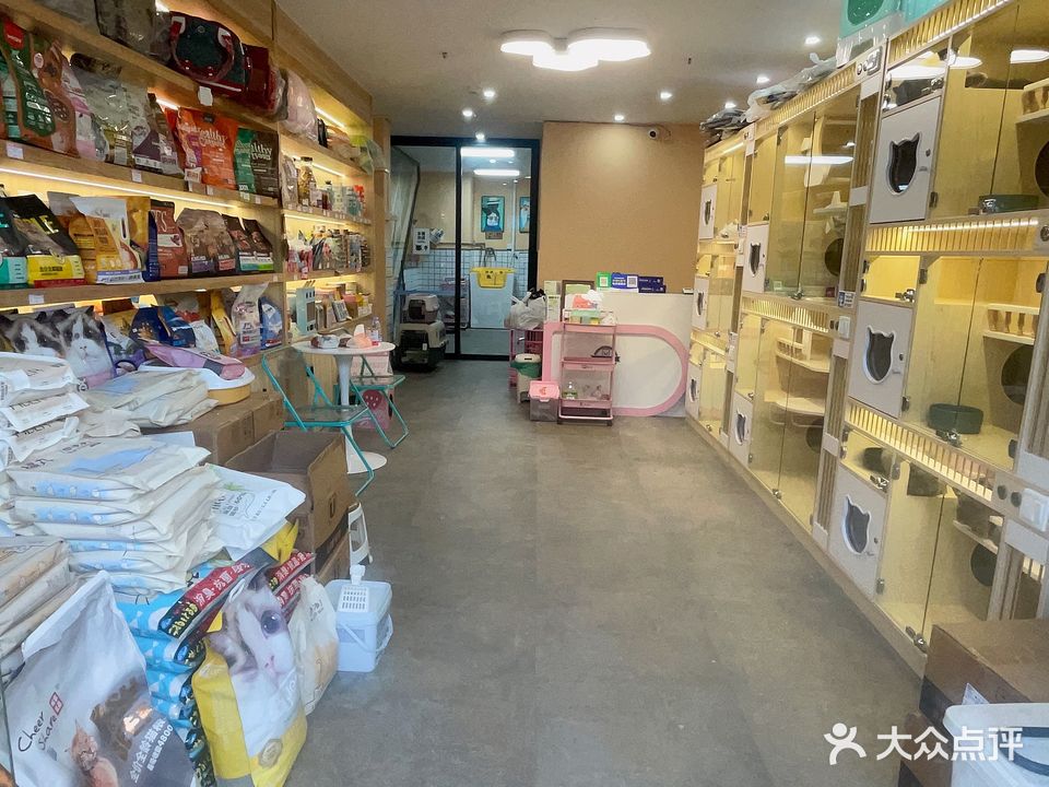 喵宠宠物美容店