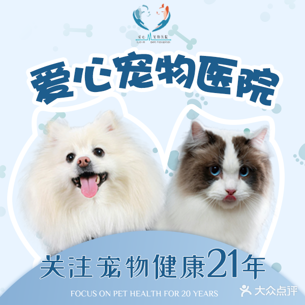 爱心宠物医院(北固湾店)