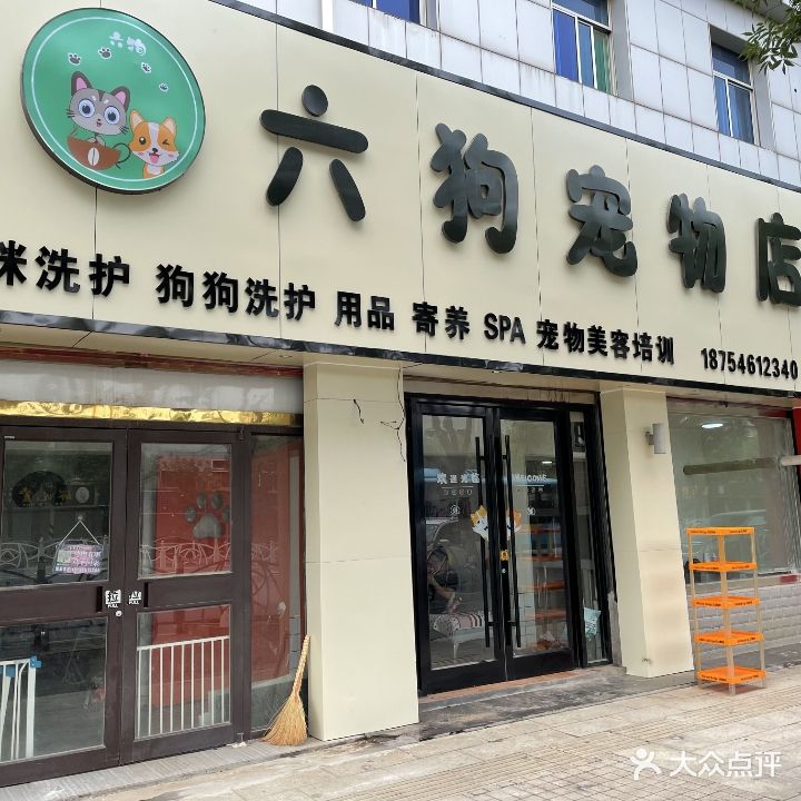 六狗宠物