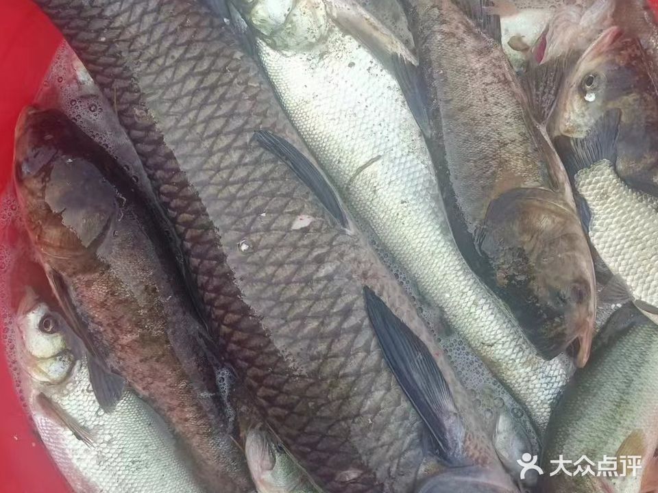 国盛农庄垂钓场