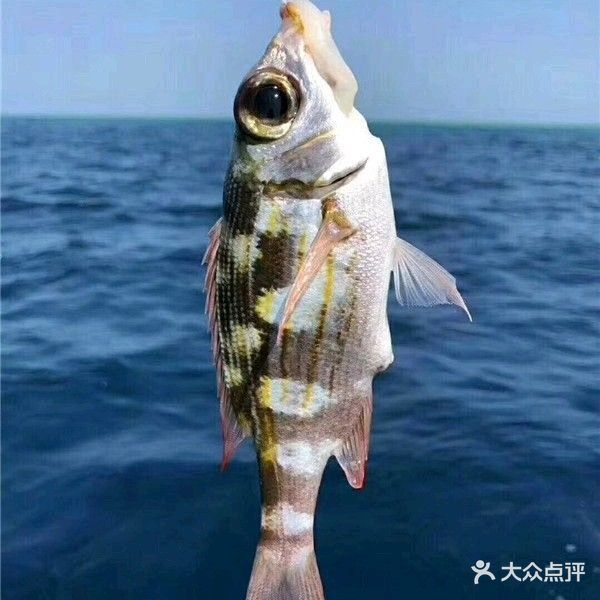 三亚游艇渔家海钓