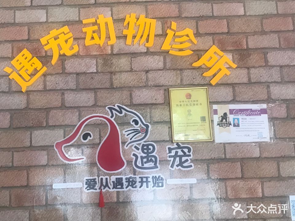 遇宠生活馆