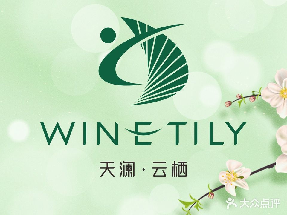 天澜云栖·影院足足道会馆