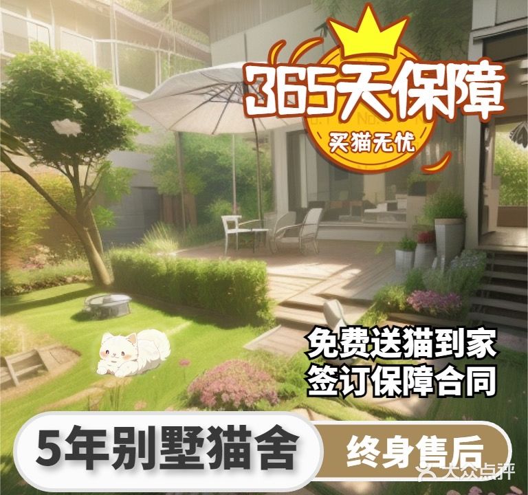仙喵馆猫舍