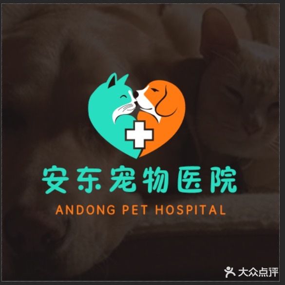 安东宠物医院