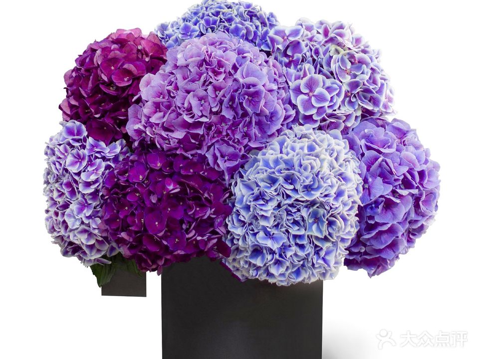 花渡鲜花