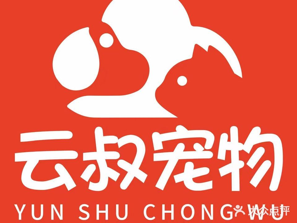 云叔宠物店·猫舍·高端洗护·寄养(城信花园店)