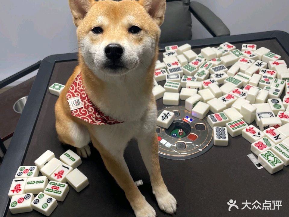 喵肥牌旺棋牌馆·麻将·主里游戏switch