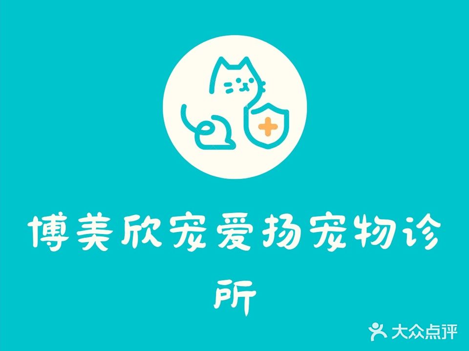 博美欣宠爱扬宠物诊所