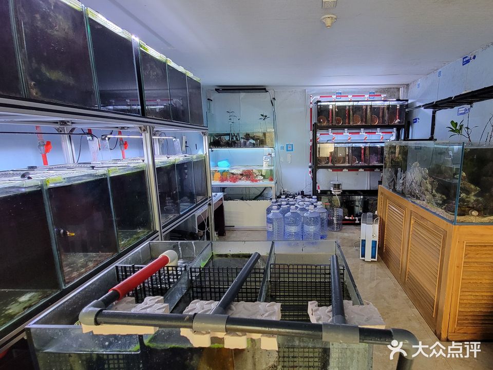 我们的海水族工作室(外贸土畜产进出口公司家属院店)