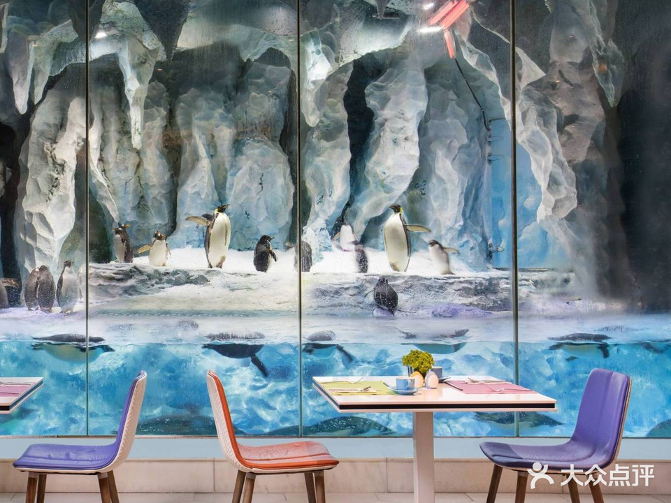 帝企鹅自助餐厅·儿童岛·真企鹅(长隆企鹅酒店)