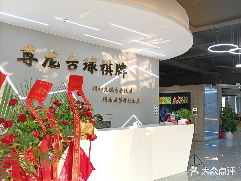 尊龙台球棋牌