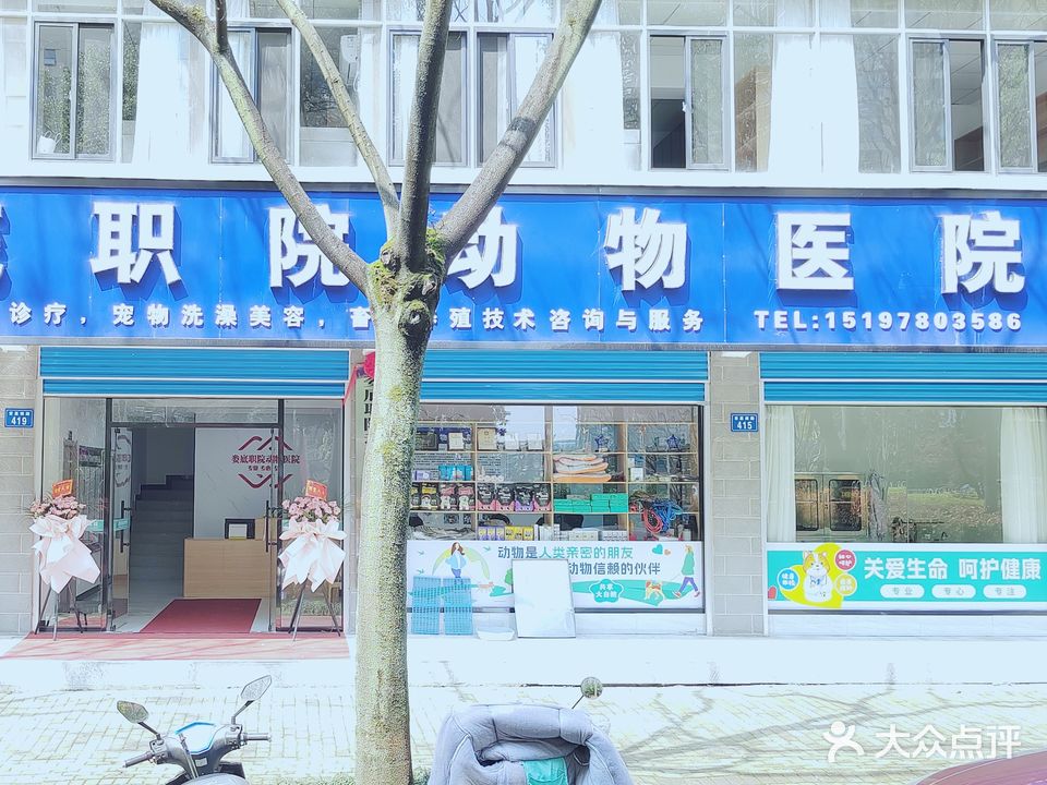 娄底职院动物医院