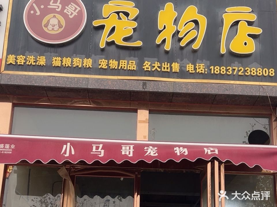 小马哥宠物店