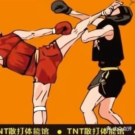 TNT散打体能馆(亚欧商城店)