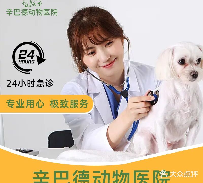 辛巴德宠物医院