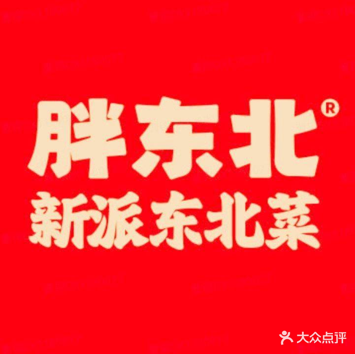胖东北·老东北(奥体·朝龙汇店)