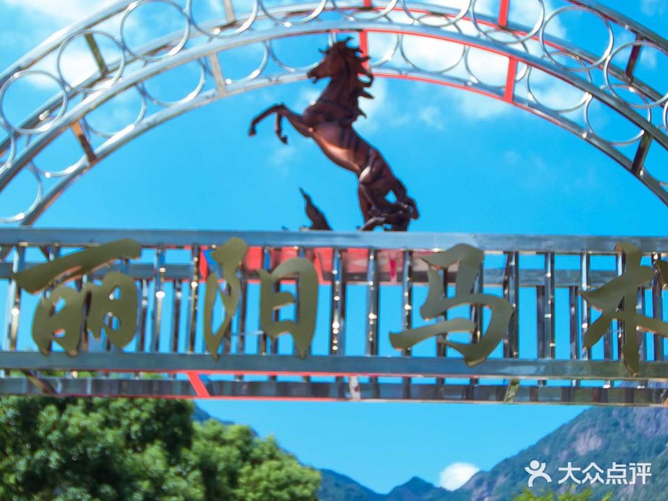 乐清市四都丽阳马术健身会所