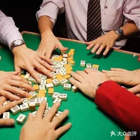 粤龙棋牌