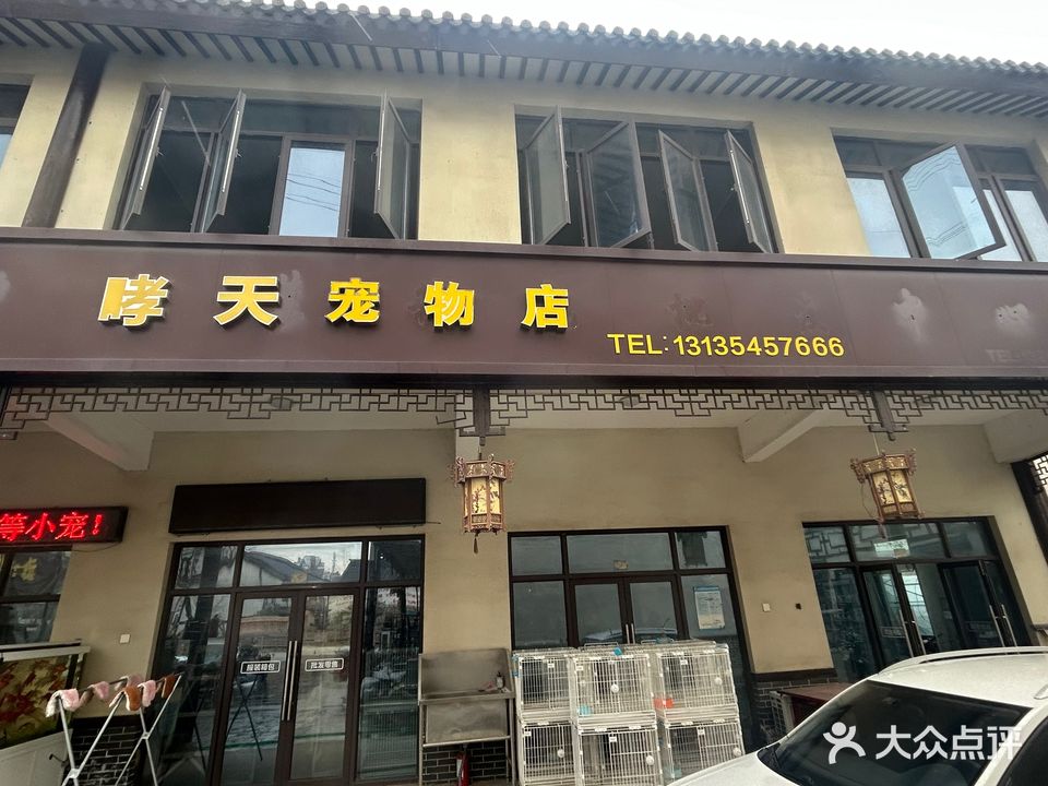 哮天宠物店