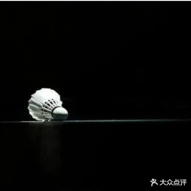 金钻羽毛球馆