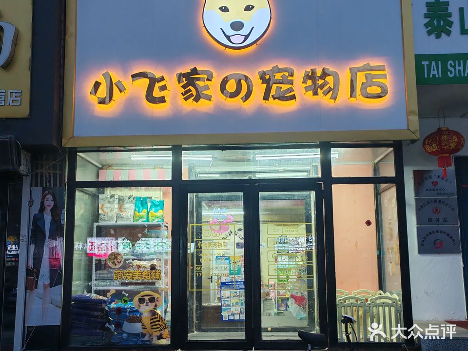 小飞家の宠物店