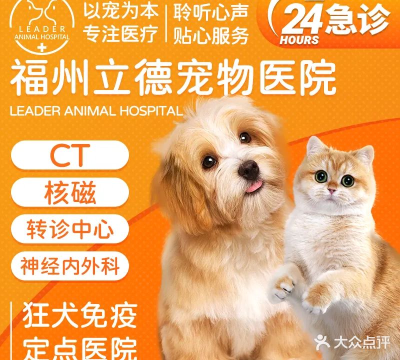 立德宠物医院·神经科·顾客