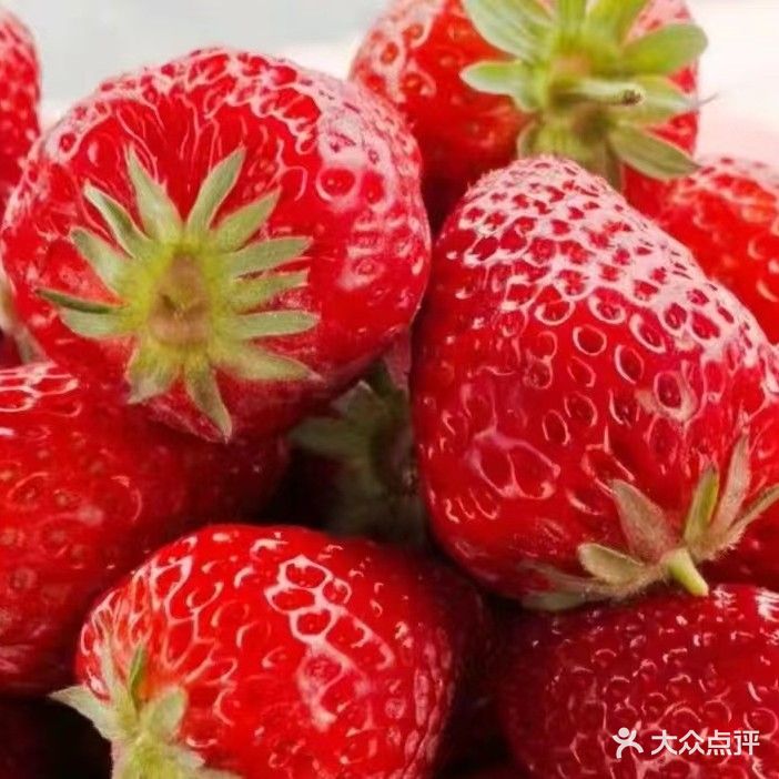 小帅果蔬草莓基地