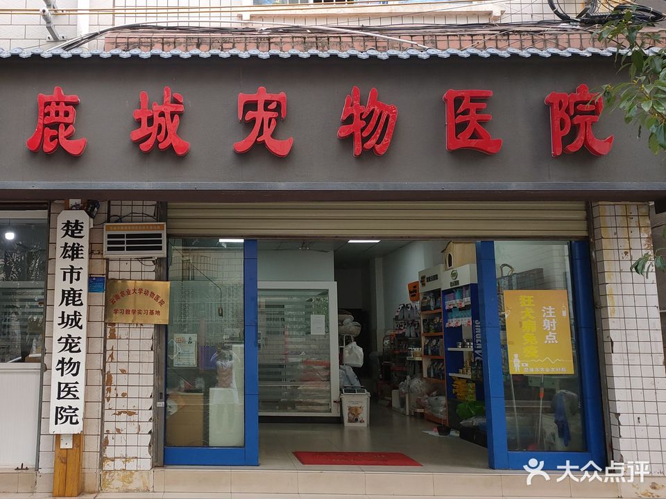 楚雄市鹿城宠物医院(铜牛店)