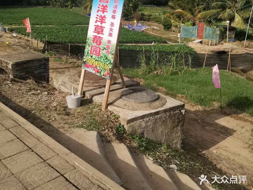 喜洋洋草莓园