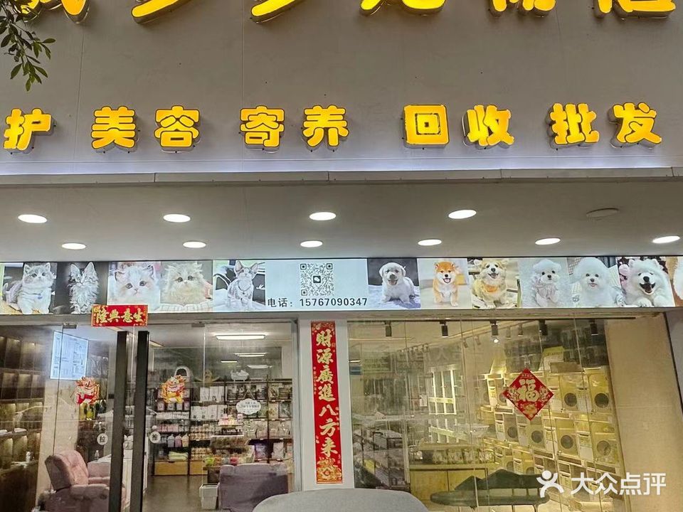 钱多多宠物店店