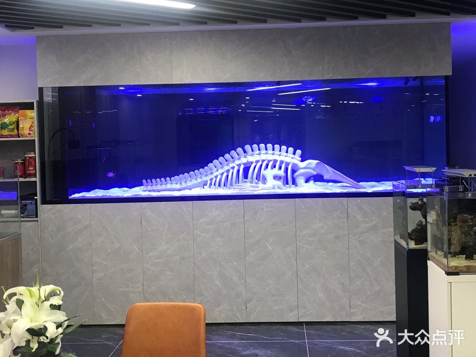 龙威水族馆
