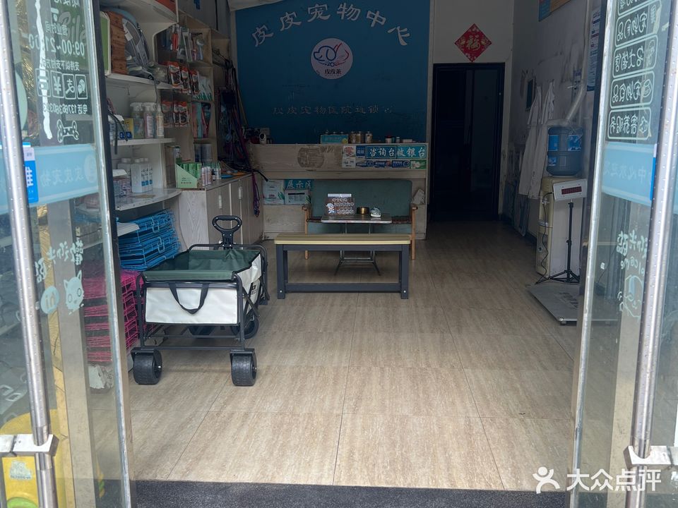 皮皮宠物中心(兴国分院)