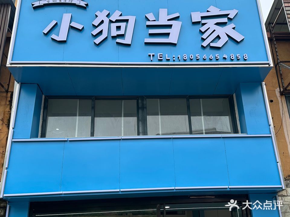 小狗宠当(九子大道店)