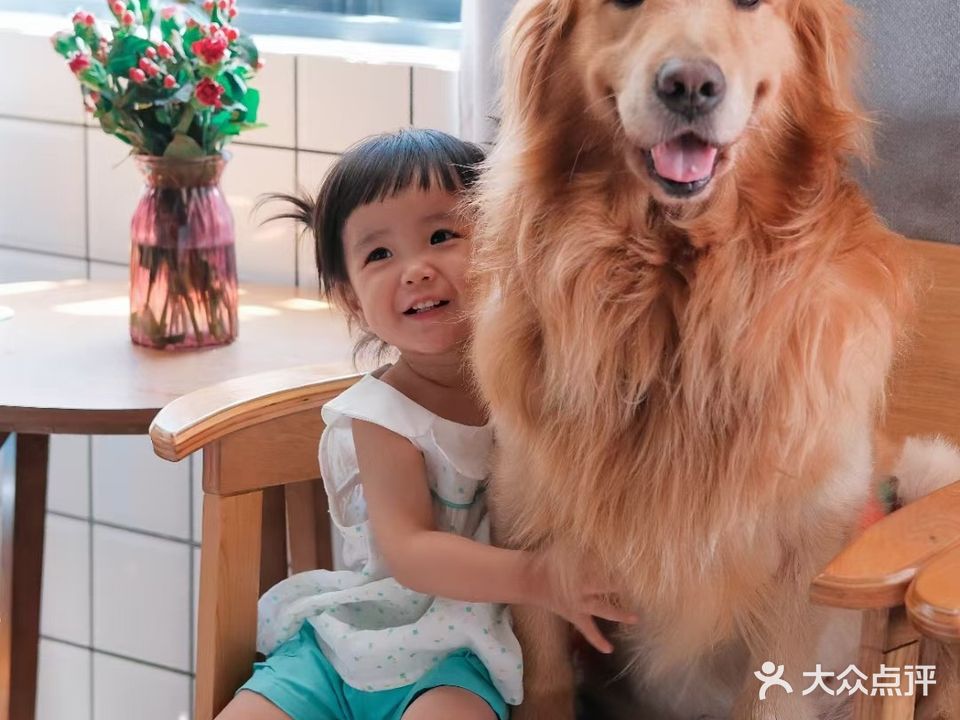 恩宠物语